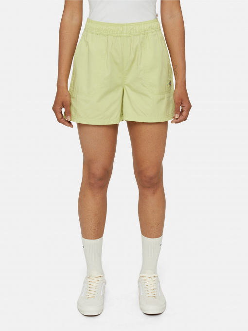 Шорты Dickies Vale модель DK0A4Y84H141 Фото