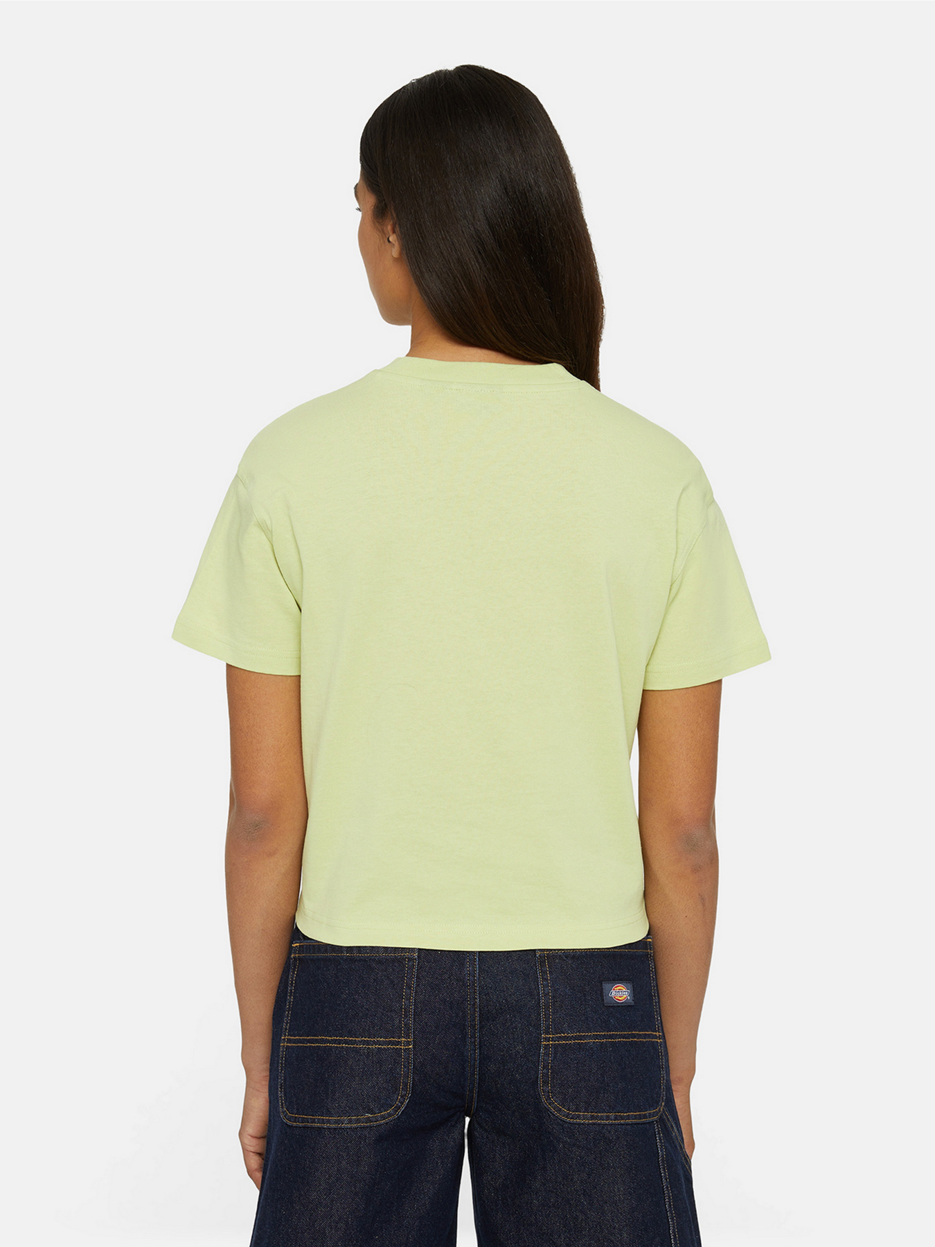 Футболка Dickies Oakport модель DK0A4Y8LH141 Фото