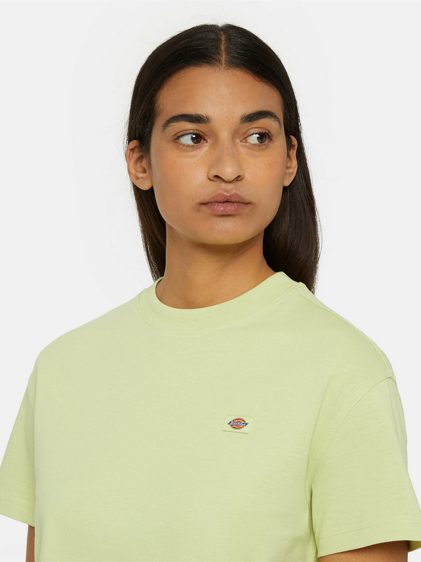 Футболка Dickies Oakport модель DK0A4Y8LH141 Фото