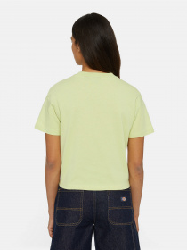 Футболка Dickies Oakport модель DK0A4Y8LH141 Фото