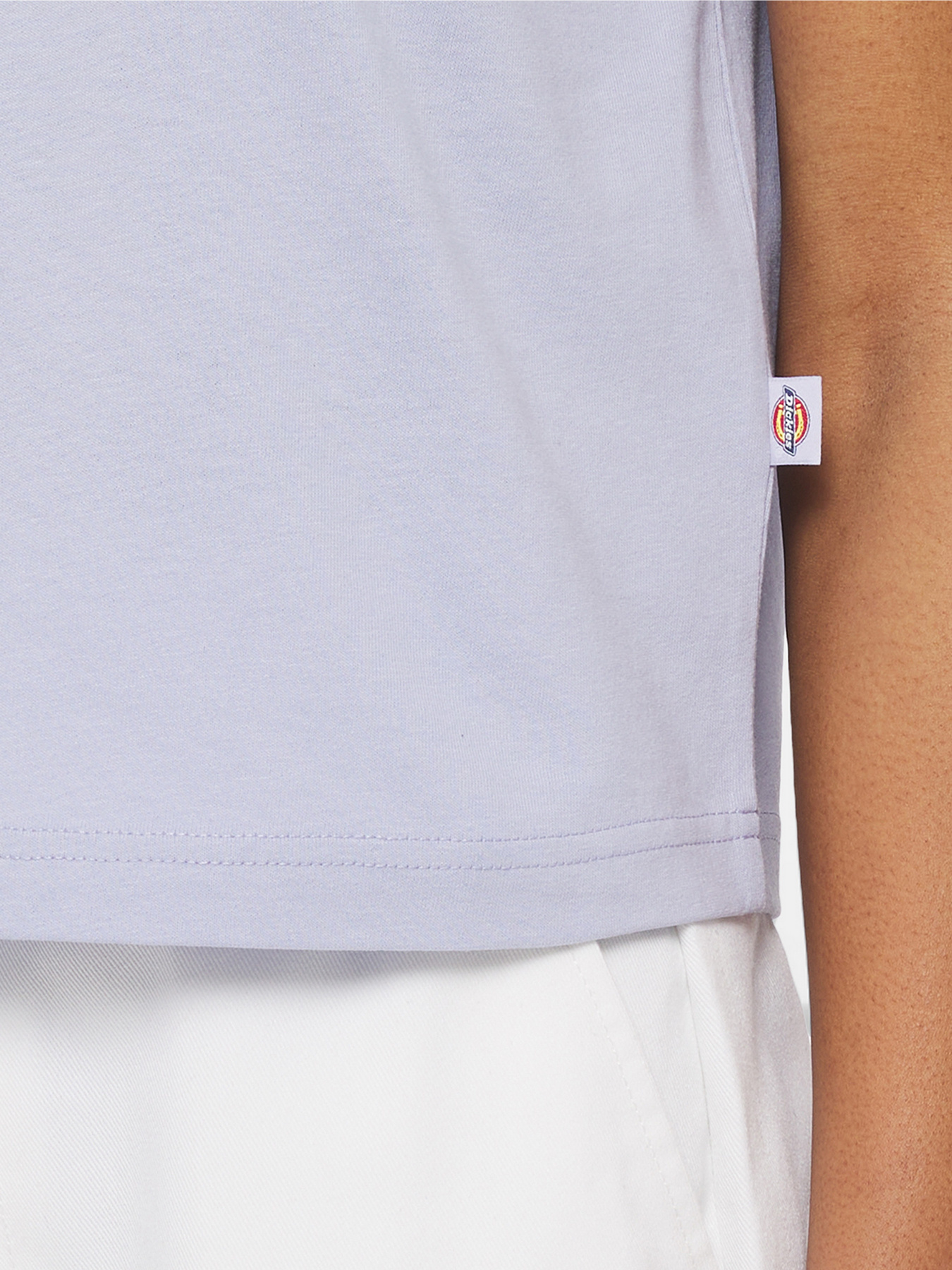 Футболка Dickies Oakport модель DK0A4Y8LH181 Фото