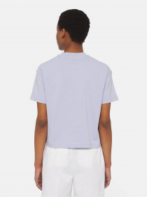 Футболка Dickies Oakport модель DK0A4Y8LH181 Фото