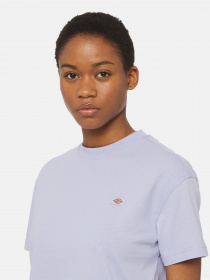 Футболка Dickies Oakport модель DK0A4Y8LH181 Фото