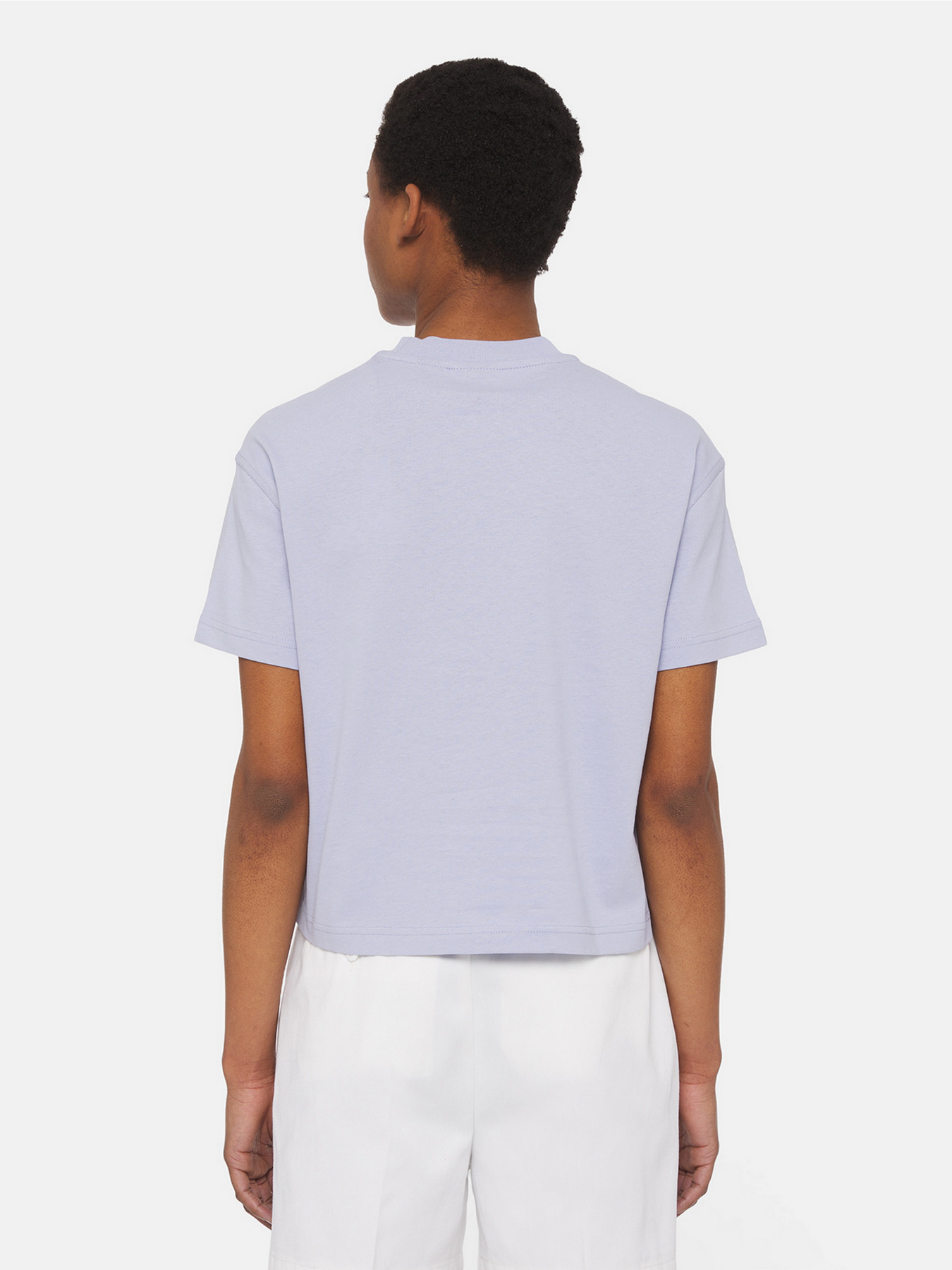 Футболка Dickies Oakport модель DK0A4Y8LH181 Фото