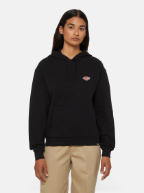 Худи Dickies Millersburg модель DK0A4YQCBLK1 Фото