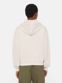 Худи Dickies Millersburg модель DK0A4YQCF901 Фото