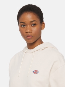 Худи Dickies Millersburg модель DK0A4YQCF901 Фото