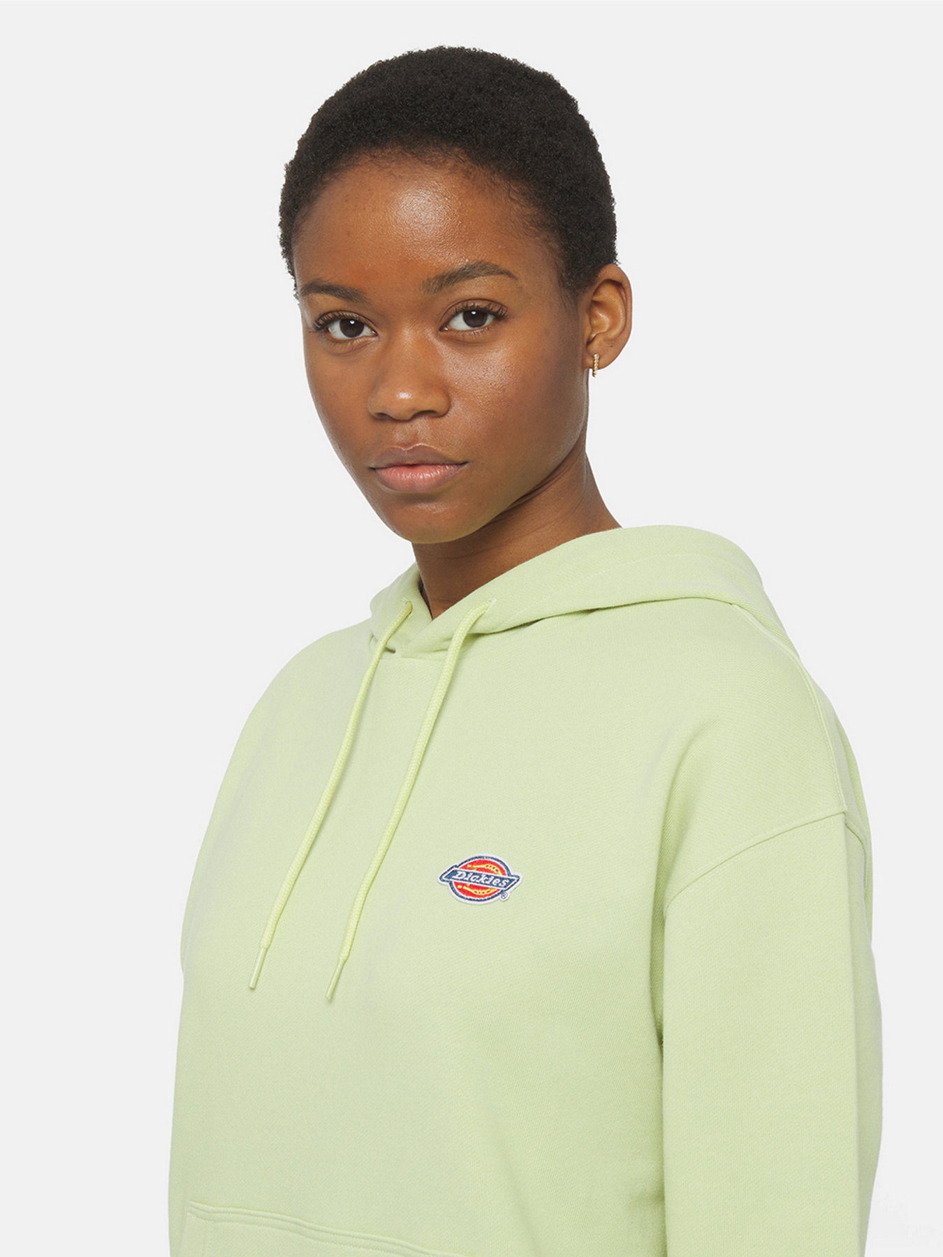 Худі Dickies Millersburg модель DK0A4YQCH141 Фото