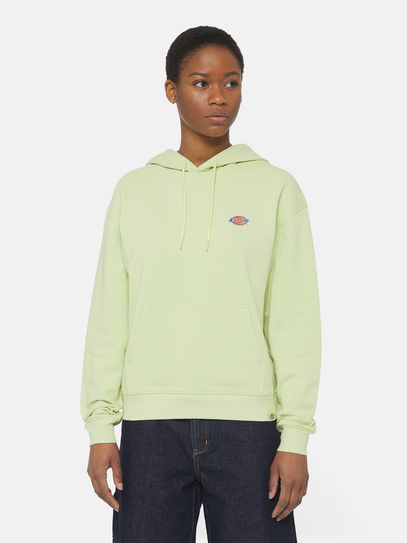 Худі Dickies Millersburg модель DK0A4YQCH141 Фото