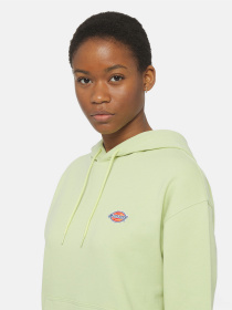 Худі Dickies Millersburg модель DK0A4YQCH141 Фото