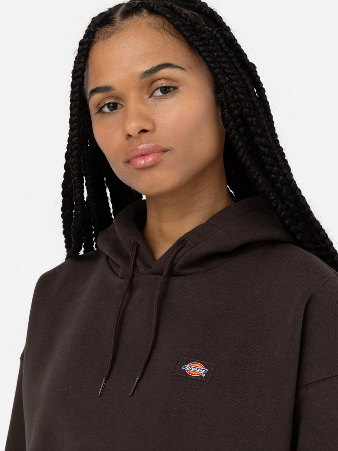 Худи Dickies модель DK0A4XJTDBX1 Фото