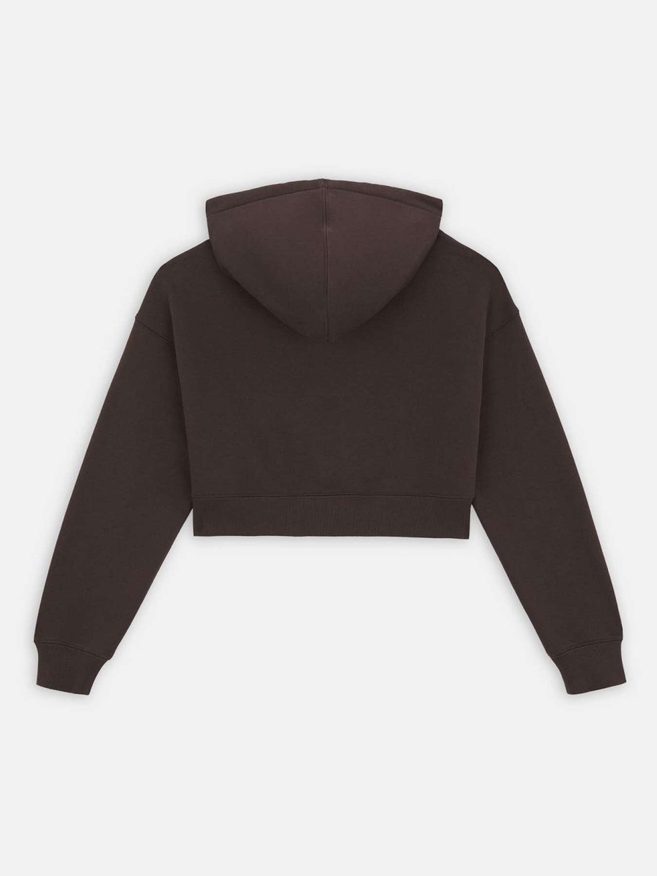 Худи Dickies модель DK0A4XJTDBX1 Фото