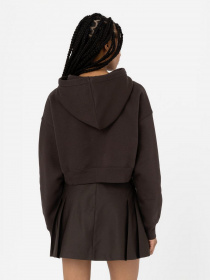 Худі Dickies модель DK0A4XJTDBX1 Фото