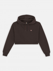 Худі Dickies модель DK0A4XJTDBX1 Фото