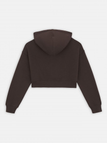 Худі Dickies модель DK0A4XJTDBX1 Фото