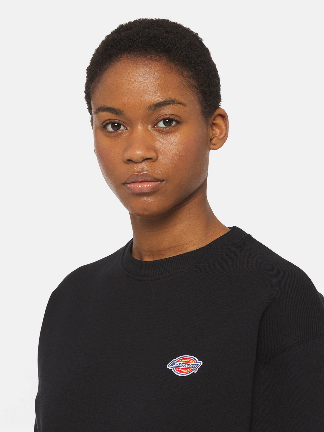 Свитшот Dickies Millersburg модель DK0A4YQDBLK1 Фото