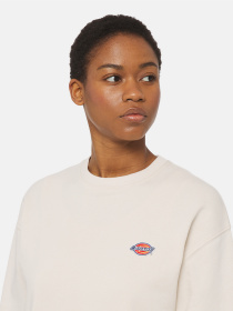 Світшот Dickies Millersburg модель DK0A4YQDF901 Фото