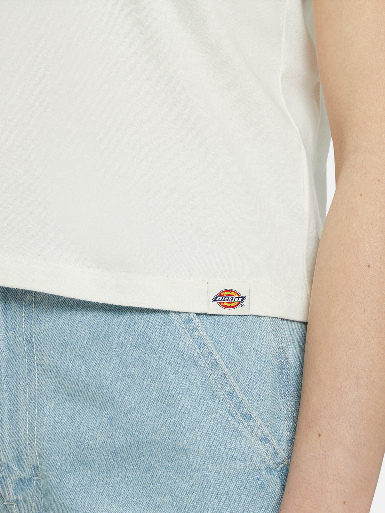 Футболка Dickies Herndon Ss модель DK0A4YRPC581 Фото