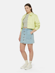 Футболка Dickies Altoona Stripe Ss Модель DK0A4YS7H141 Фото