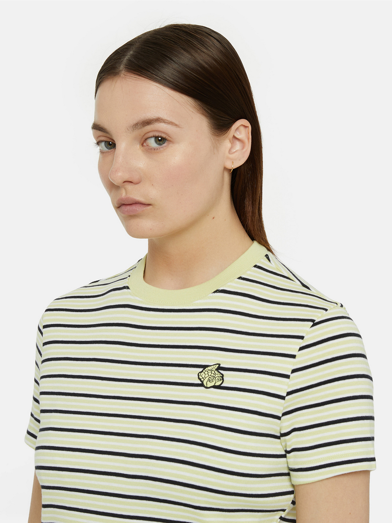 Футболка Dickies Altoona Stripe Ss модель DK0A4YS7H141 Футболка Dickies Altoona Stripe Ss модель DK0A4YS7H141 Фото