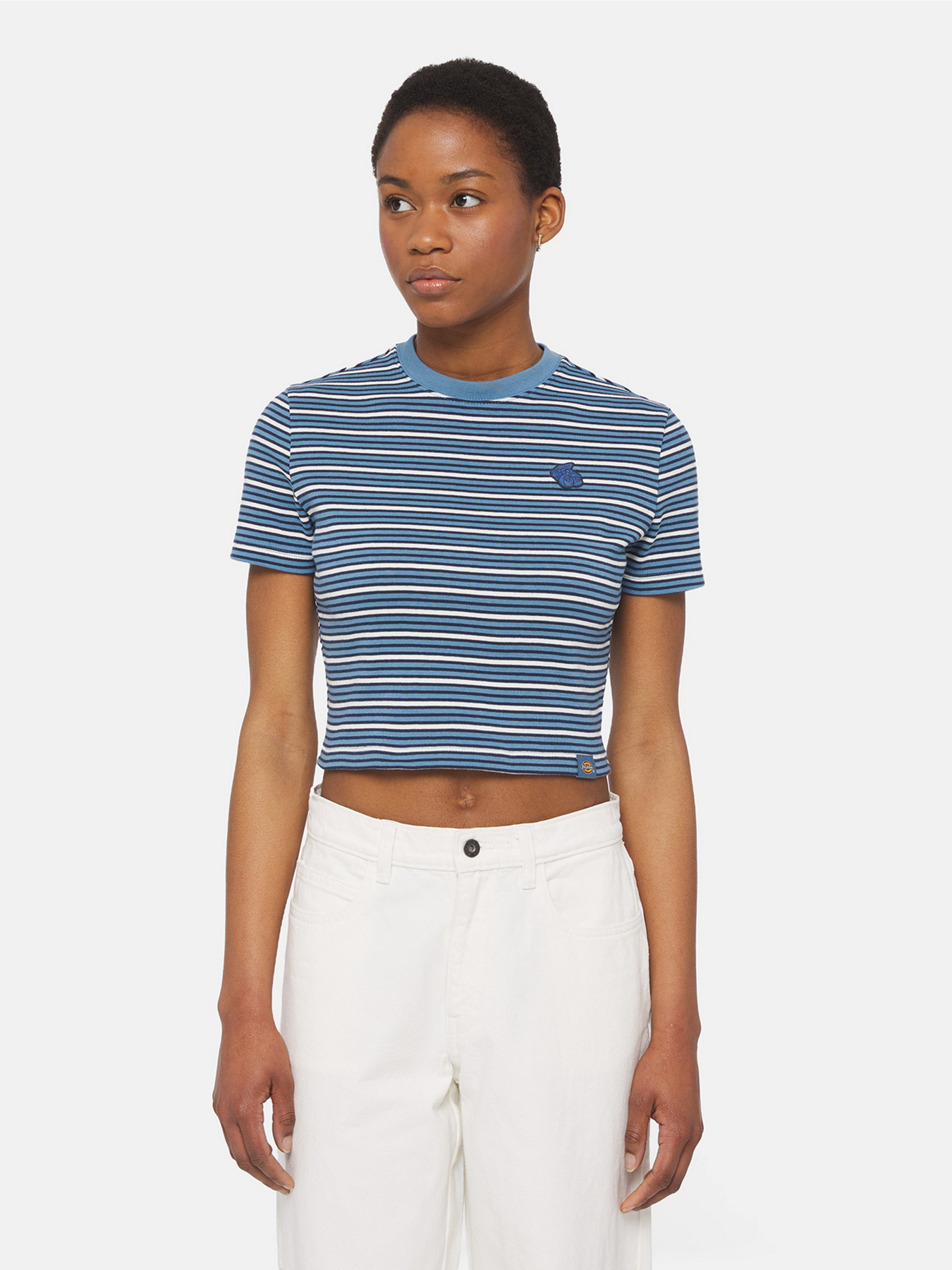 Футболка Dickies Altoona Stripe Ss Модель DK0A4YS7H171 Фото