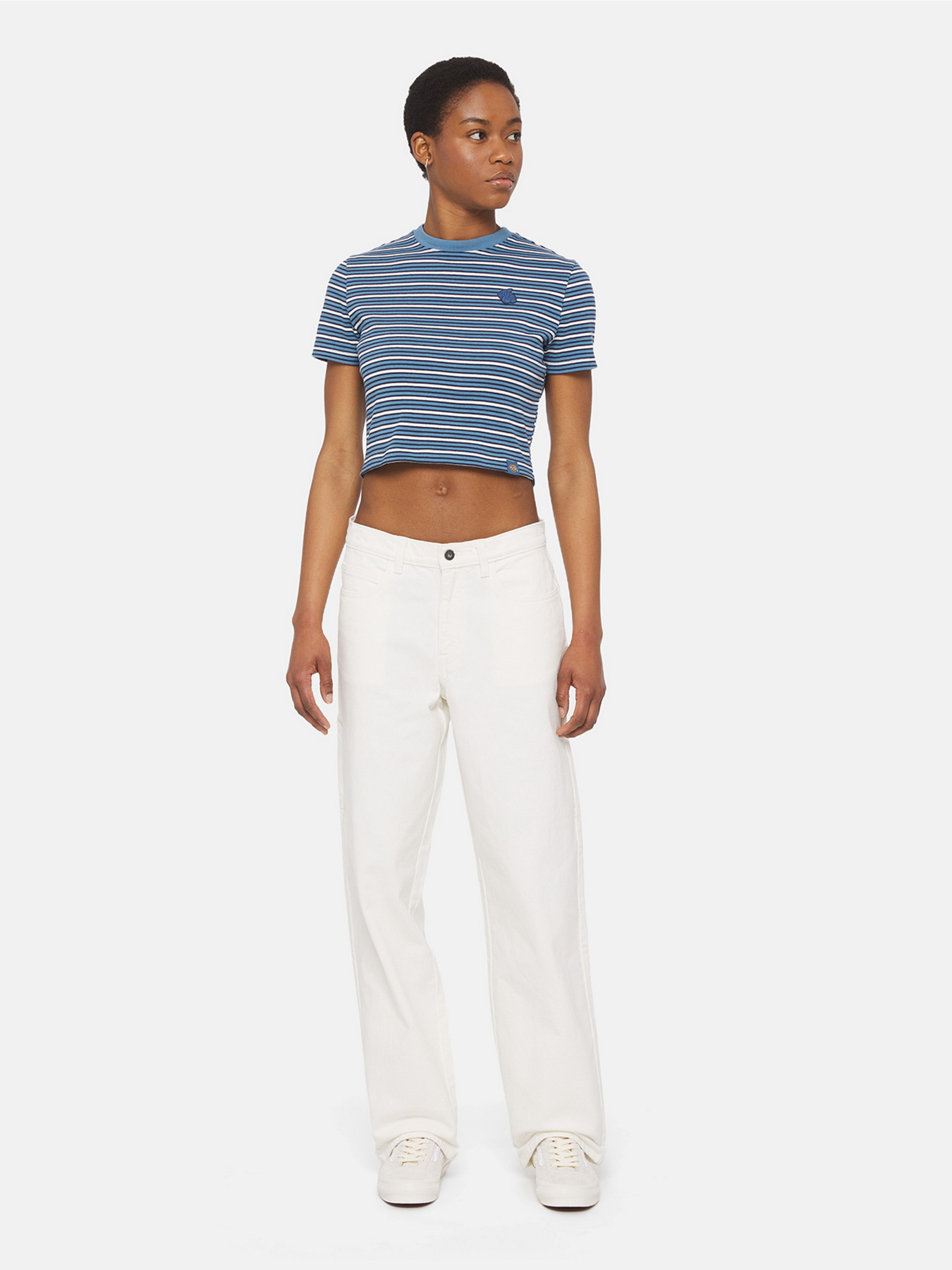 Футболка Dickies Altoona Stripe Ss модель DK0A4YS7H171 Фото