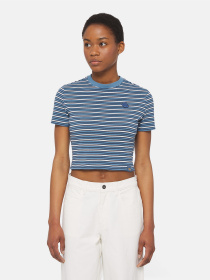 Футболка Dickies Altoona Stripe Ss модель DK0A4YS7H171 Фото