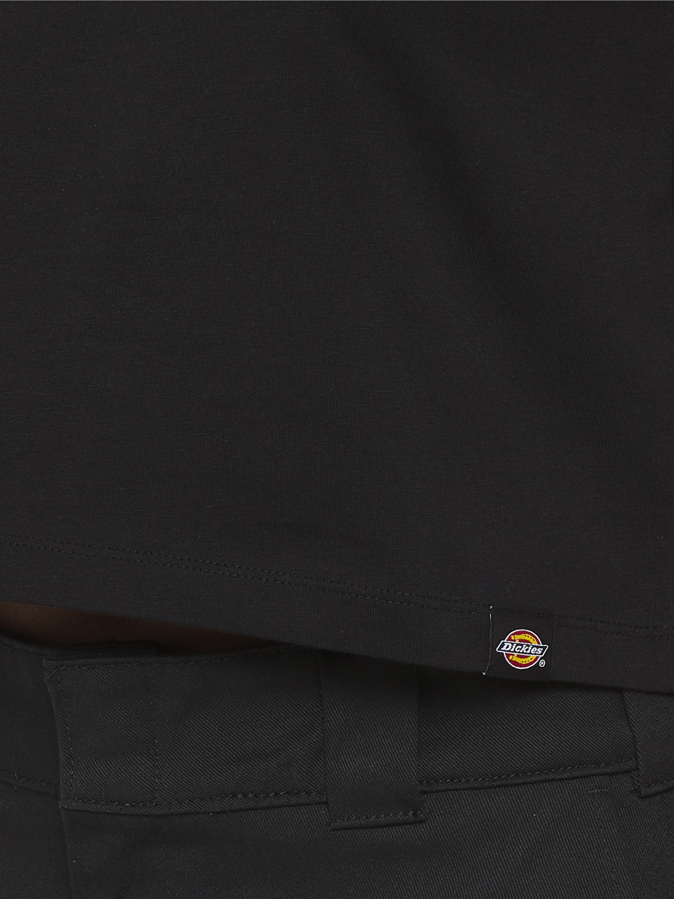 Футболка Dickies Aitkin модель DK0A4YS8BLK1 Фото