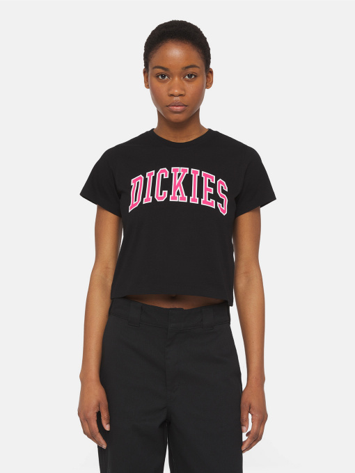 Футболка Dickies Aitkin модель DK0A4YS8BLK1 Фото