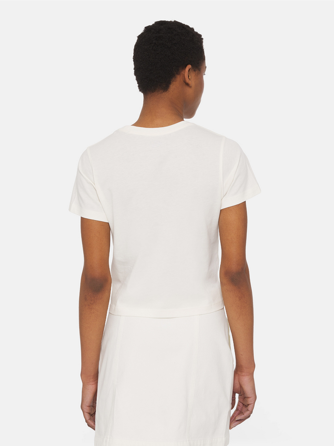 Футболка Dickies Aitkin модель DK0A4YS8C581 Фото