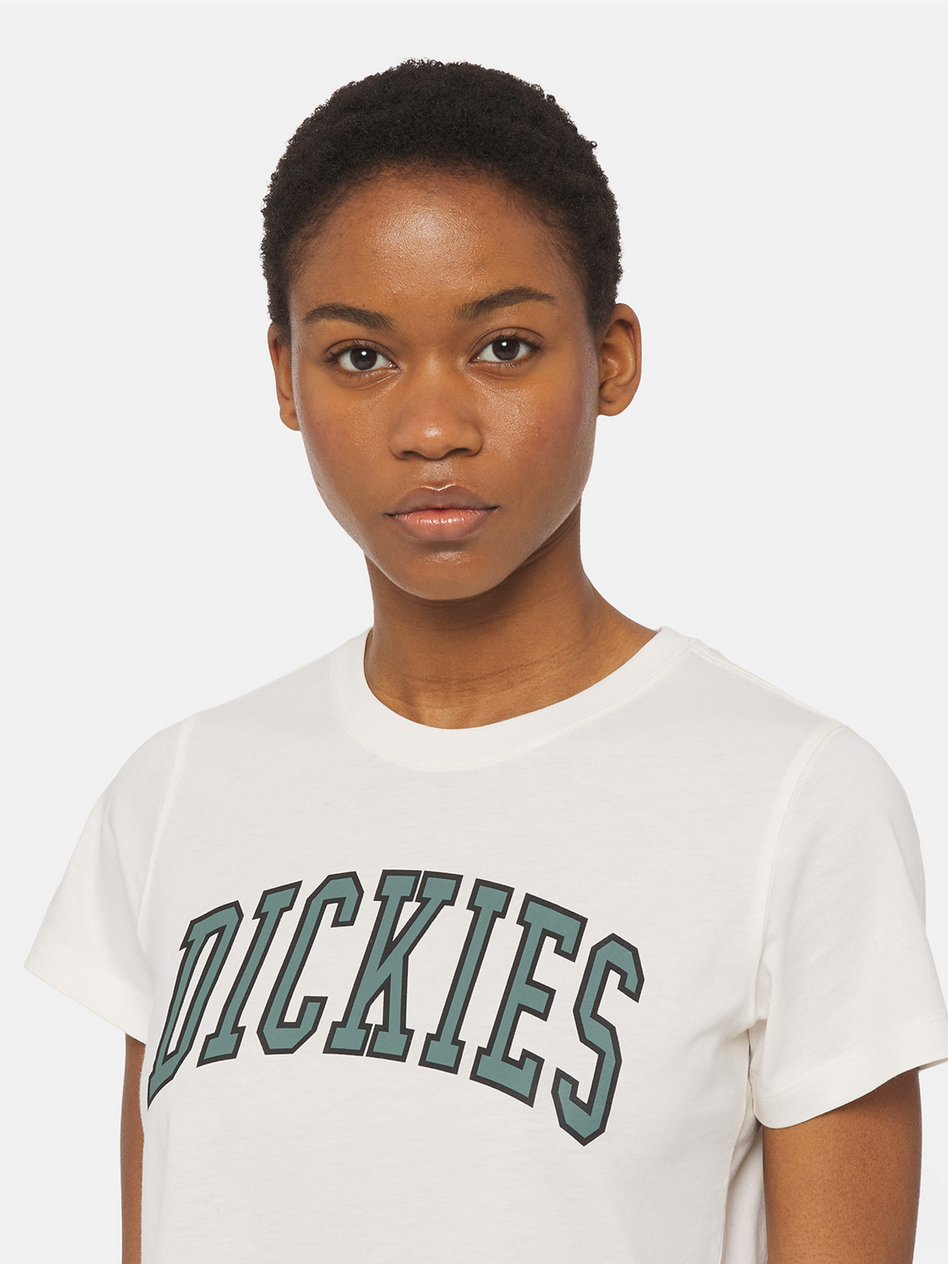 Футболка Dickies Aitkin модель DK0A4YS8C581 Фото