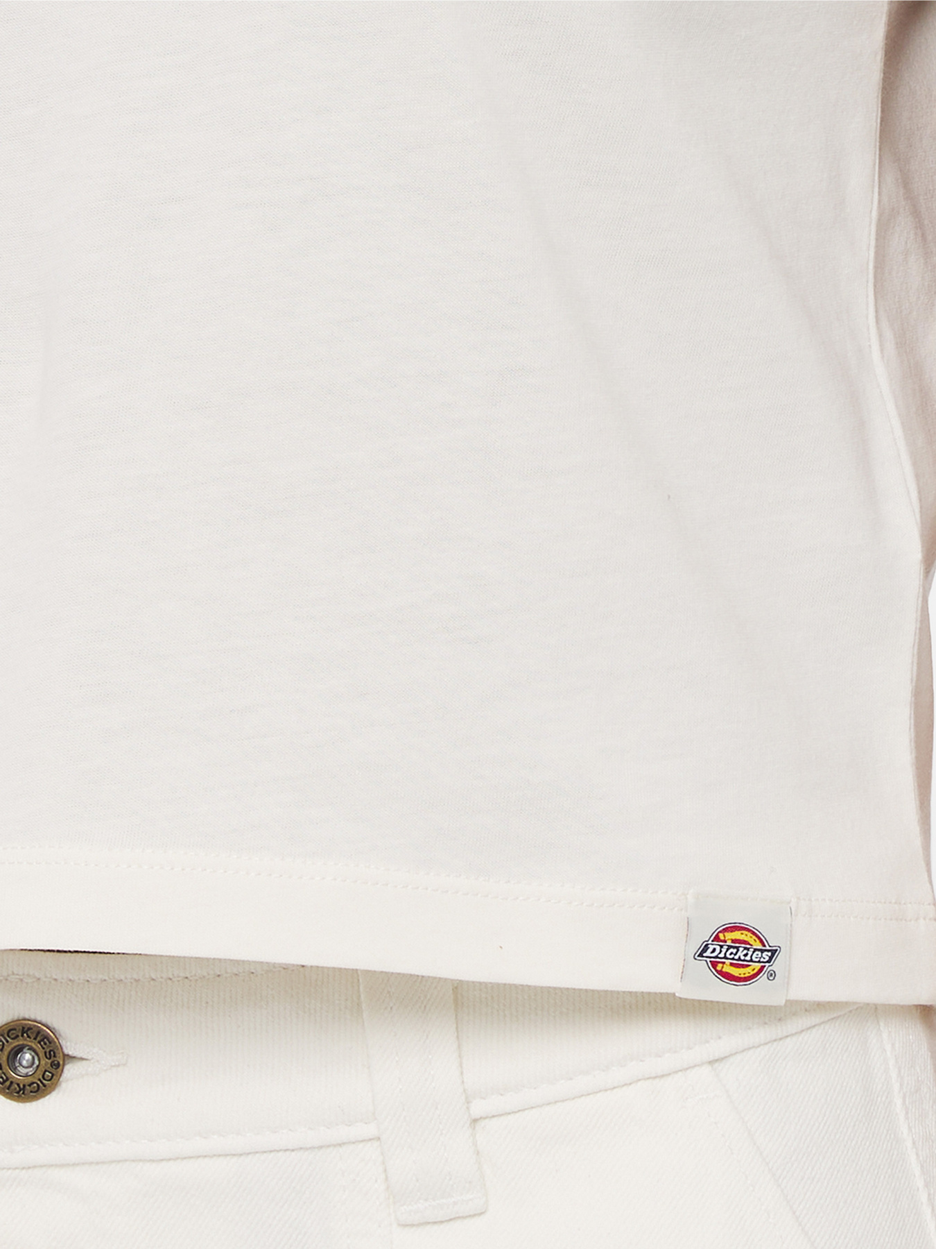 Футболка Dickies Aitkin модель DK0A4YS8C581 Фото