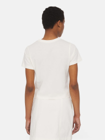 Футболка Dickies Aitkin модель DK0A4YS8C581 Фото