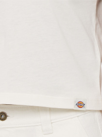 Футболка Dickies Aitkin модель DK0A4YS8C581 Фото