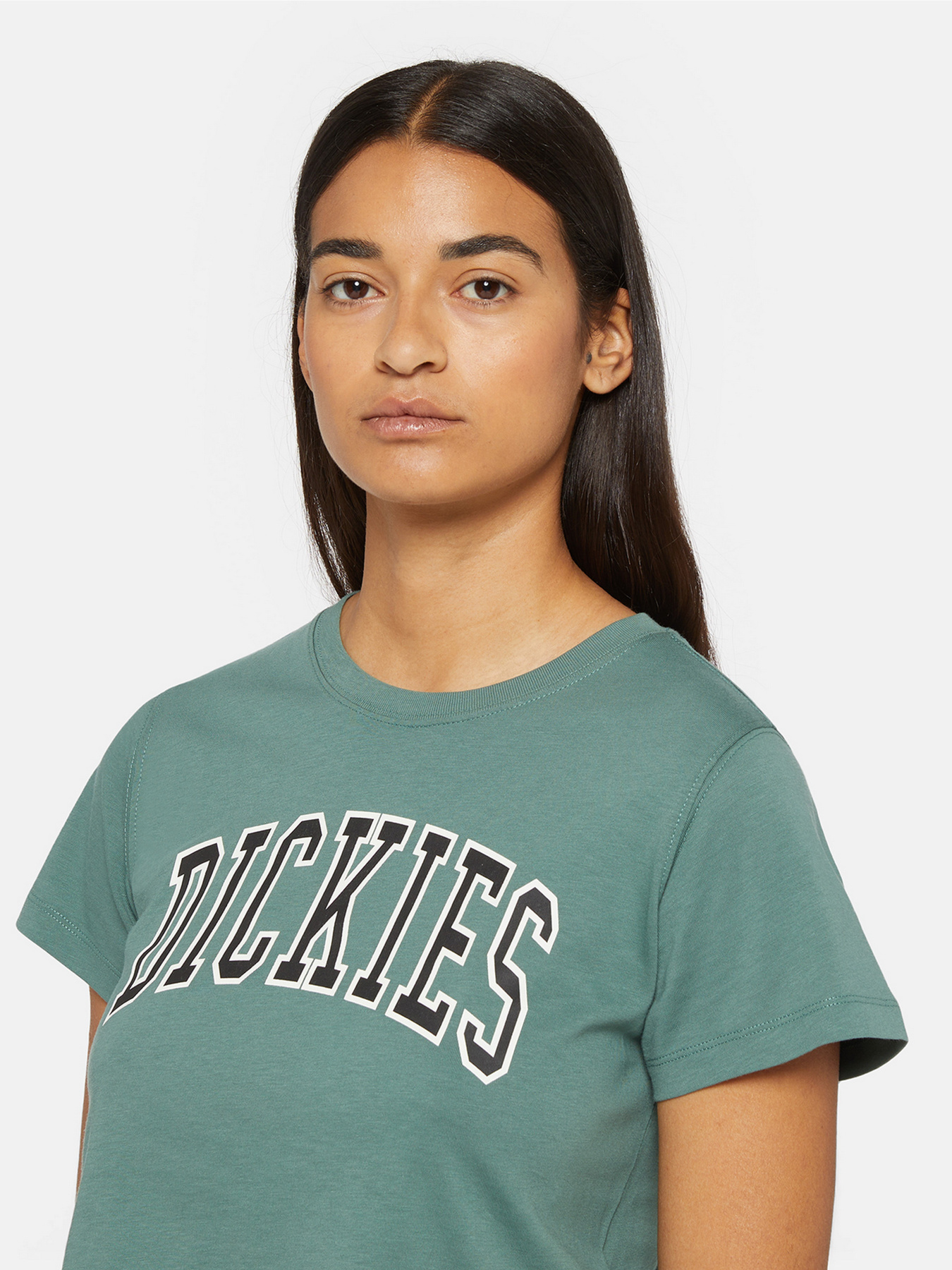 Футболка Dickies Aitkin Модель DK0A4YS8H151 Фото