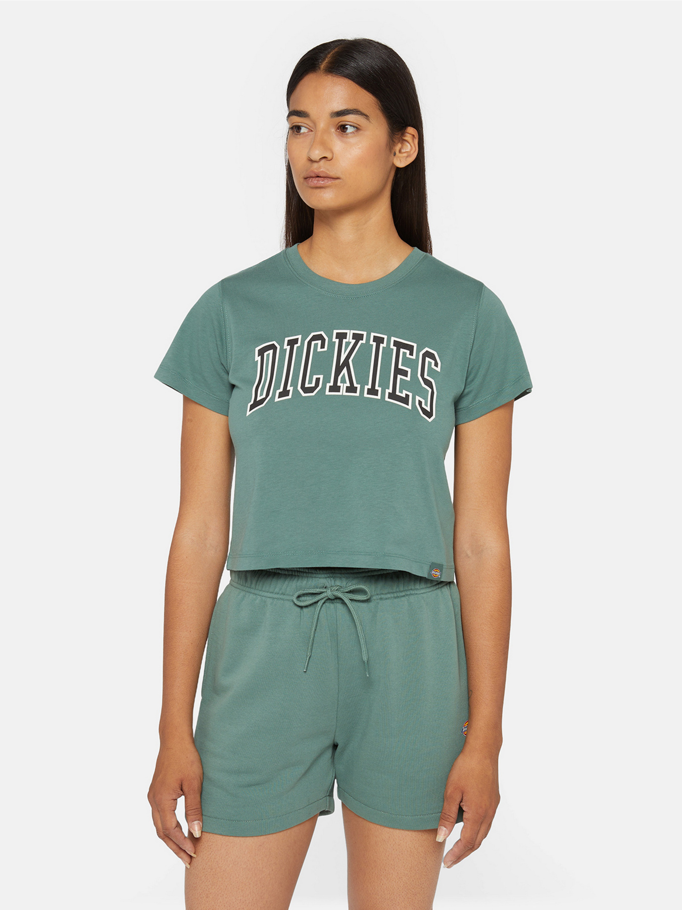 Футболка Dickies Aitkin Модель DK0A4YS8H151 Фото