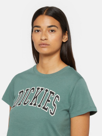 Футболка Dickies Aitkin Модель DK0A4YS8H151 Фото