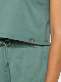 Футболка Dickies Aitkin модель DK0A4YS8H151 Футболка Dickies Aitkin модель DK0A4YS8H151 Фото