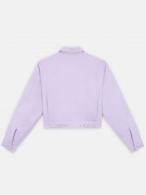 Демісезонна куртка Dickies Lined Eisenhower Cropped модель DK0A4XKCE611 Фото