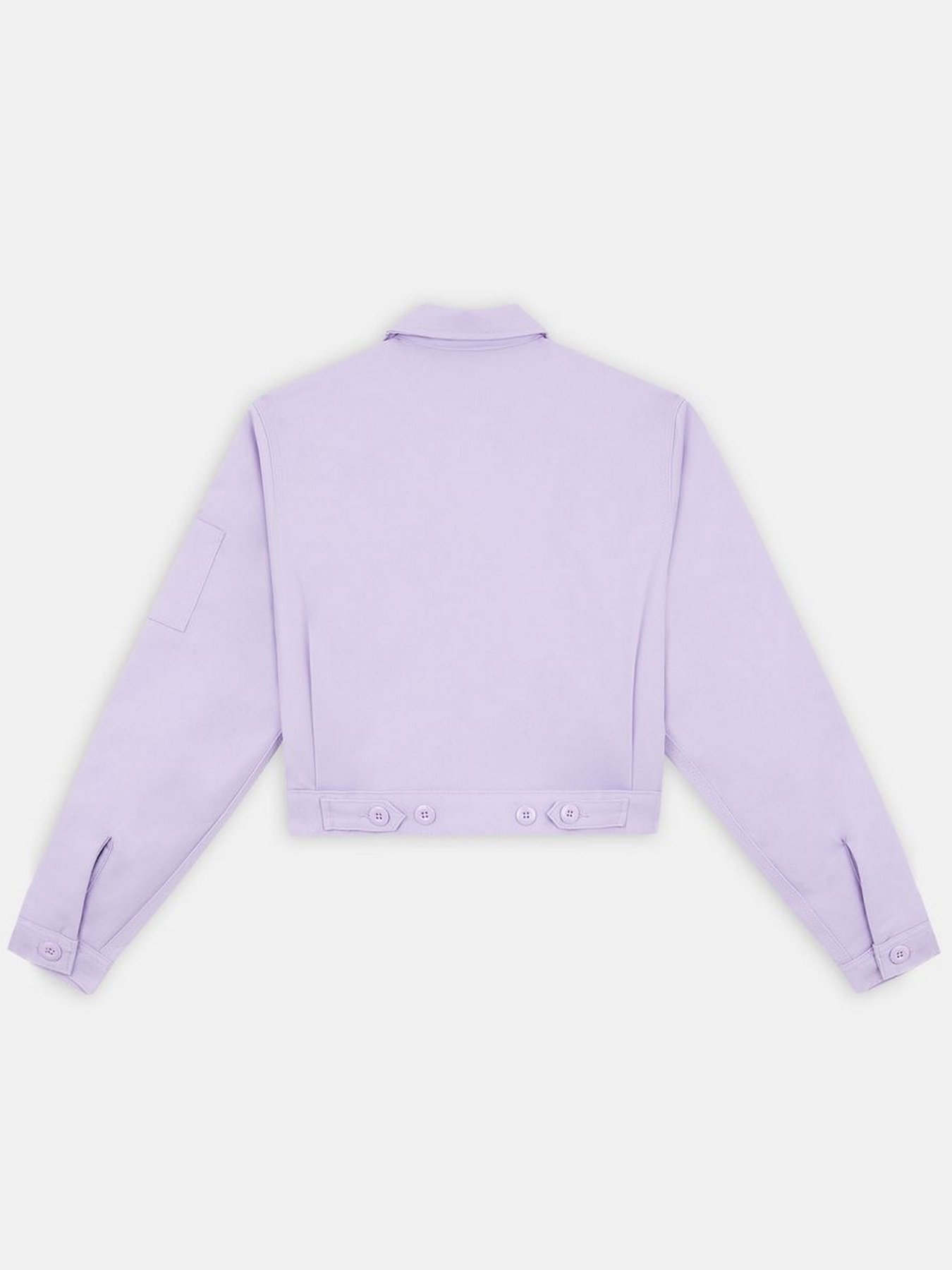 Демісезонна куртка Dickies Lined Eisenhower Cropped модель DK0A4XKCE611 Фото