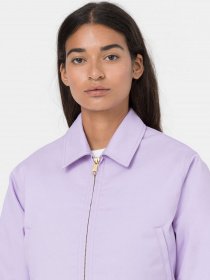 Демісезонна куртка Dickies Lined Eisenhower Cropped модель DK0A4XKCE611 Фото