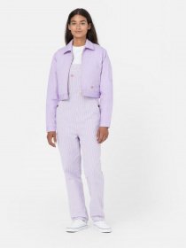 Демісезонна куртка Dickies Lined Eisenhower Cropped модель DK0A4XKCE611 Фото