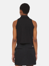 Топ Dickies Ss Saltville модель DK0A4YSVBLK1 Фото