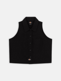 Топ Dickies Ss Saltville модель DK0A4YSVBLK1 Топ Dickies Ss Saltville модель DK0A4YSVBLK1 Фото