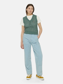 Жилет Dickies Seasonal Mapleton модель DK0A4YT3C581 Фото