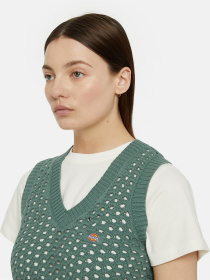 Жилет Dickies Seasonal Mapleton модель DK0A4YT3C581 Фото