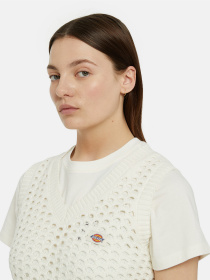 Жилет Dickies Seasonal Mapleton модель DK0A4YT3H151 Жилет Dickies Seasonal Mapleton модель DK0A4YT3H151 Фото