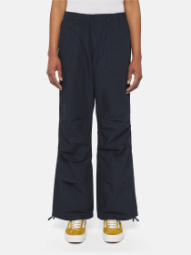Карго Dickies Fishersville Модель DK0A4YV4DNX1 Фото