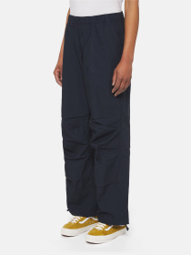 Карго Dickies Fishersville модель DK0A4YV4DNX1 Карго Dickies Fishersville модель DK0A4YV4DNX1 Фото