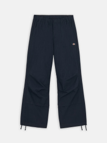 Карго Dickies Fishersville модель DK0A4YV4DNX1 Карго Dickies Fishersville модель DK0A4YV4DNX1 Фото